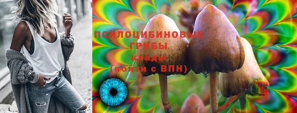 хмурый Вяземский