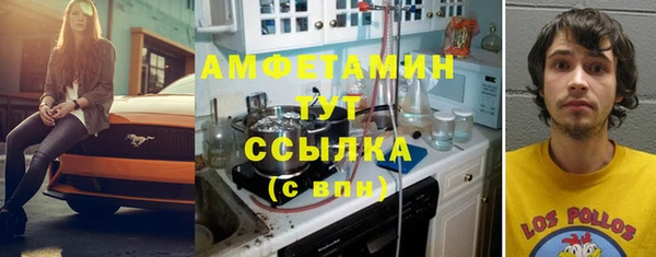 гидра Бердск